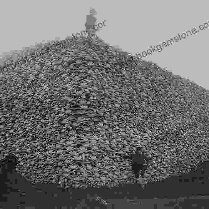 A Campsite Littered With Bison Skulls, Evidence Of The Importance Of Bison To The Buffalo Riders Buffalo Riders Of Texas (Earth S New Timeline 4)