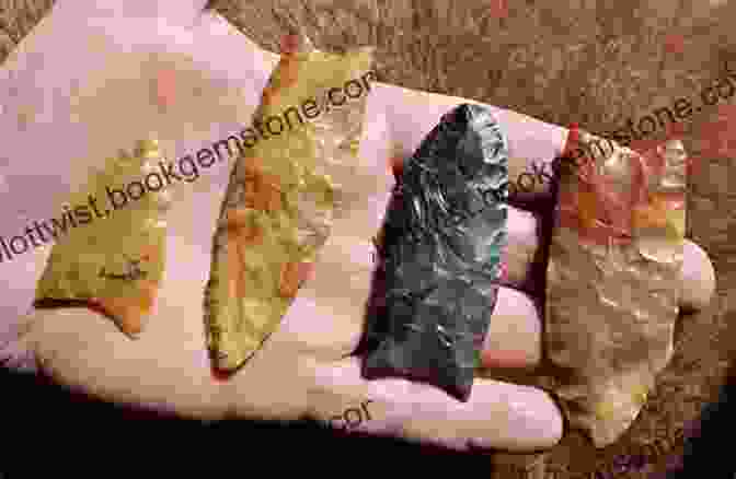 A Collection Of Clovis Points, Essential Tools For Hunting Large Animals Buffalo Riders Of Texas (Earth S New Timeline 4)