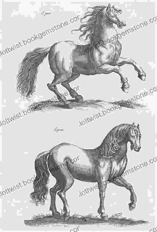 A Graceful Horse Illustration From The Dover Pictorial Archive Big Of Animal Illustrations (Dover Pictorial Archive)