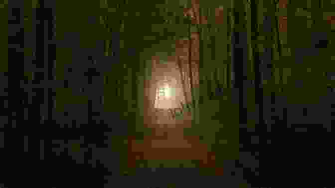 An Image Of A Dark Forest Path Leading To A Bright Light. Productions Of JWR 1: Works Of Dark That Lead To Light
