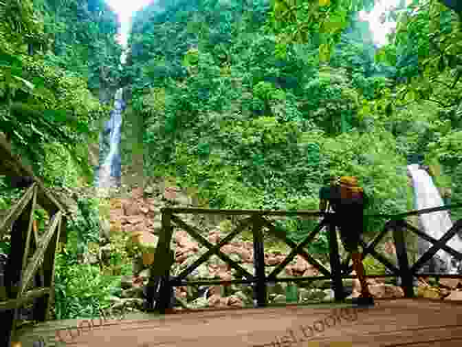 Hiking Through The Lush Trafalgar Falls National Park In Dominica Sailing The Caribbean Islands: A Daily Journal