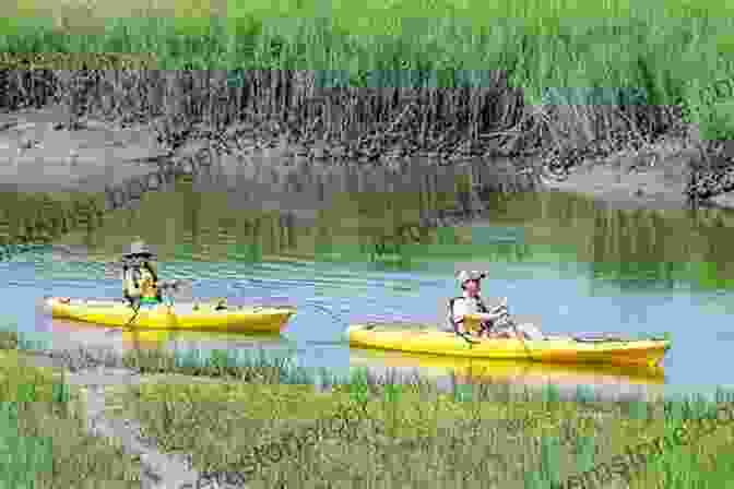 Kayakers Paddling Through A Peaceful Marsh, Surrounded By Lush Vegetation And Abundant Wildlife, Highlighting The Lowcountry's Outdoor Adventures. Fodor S InFocus Savannah: With Hilton Head And The Lowcountry (Full Color Travel Guide)