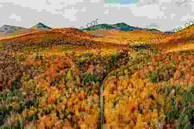 New Hampshire's White Mountains In Autumn Colors Fodor S New England (Full Color Travel Guide)