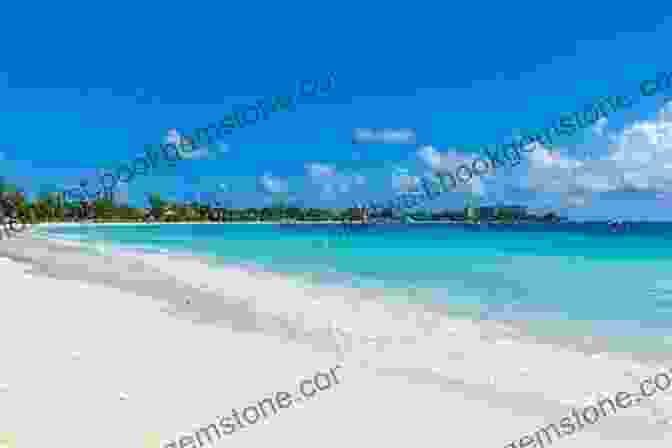 Relaxing On The Pristine Beaches Of Carlisle Bay In Barbados Sailing The Caribbean Islands: A Daily Journal