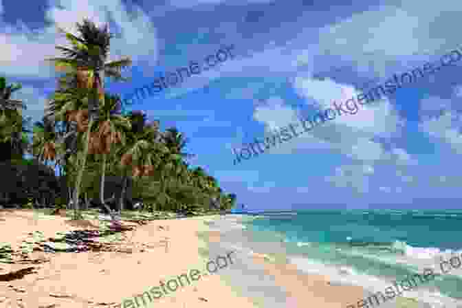 Relaxing On The Pristine Beaches Of Marie Galante In Guadeloupe Sailing The Caribbean Islands: A Daily Journal