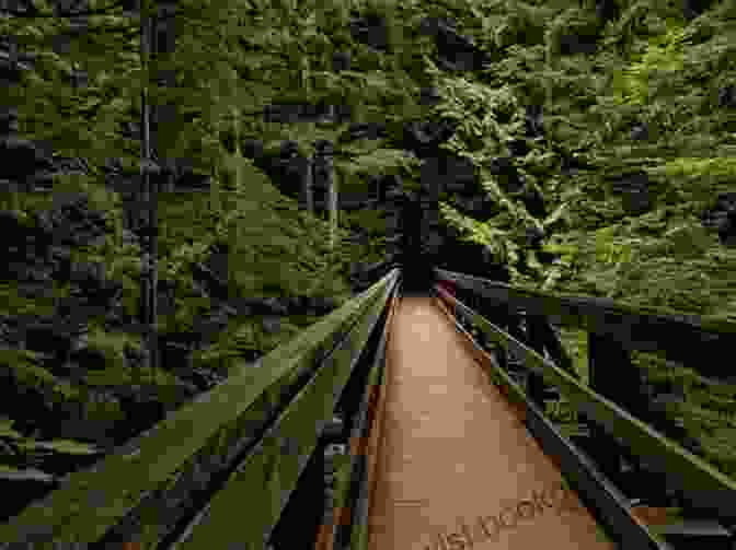 Serene Bridge The Bridal Path: Ashley Sherryl Woods
