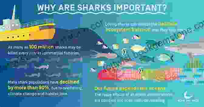 Shark's Impact On Marine Ecosystems The Encyclopedia Of Sharks: Everything You Need To Know And More About Sharks
