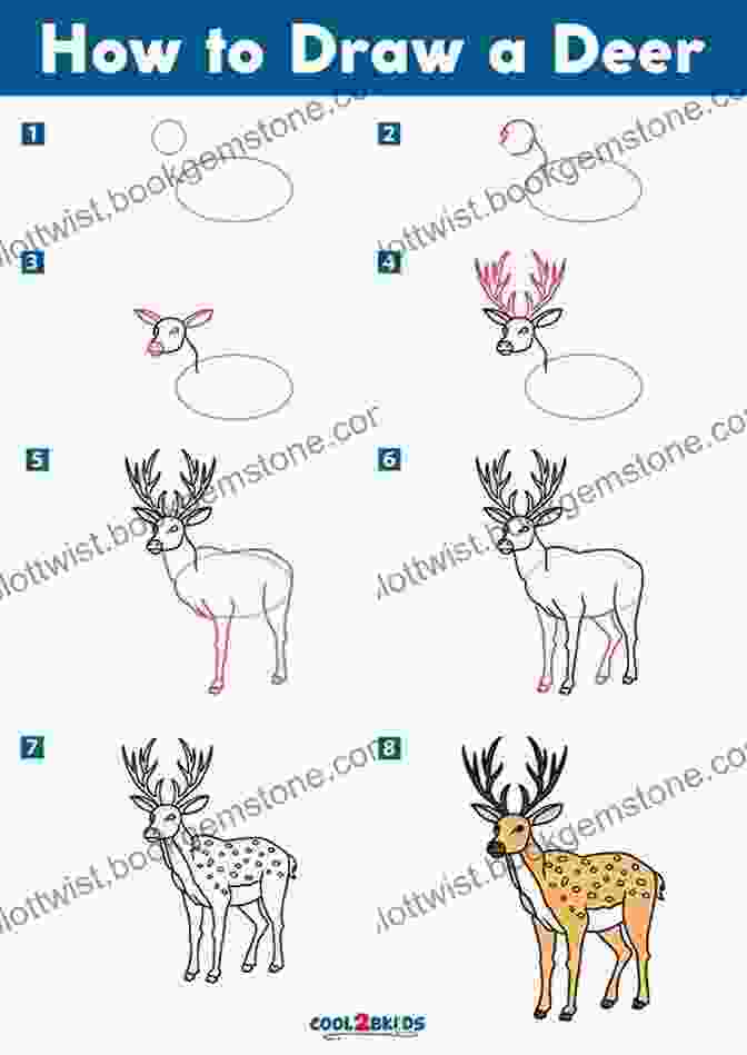 Step By Step Drawing Of A Woodland Deer How To Draw: Woodland Animals: In Simple Steps