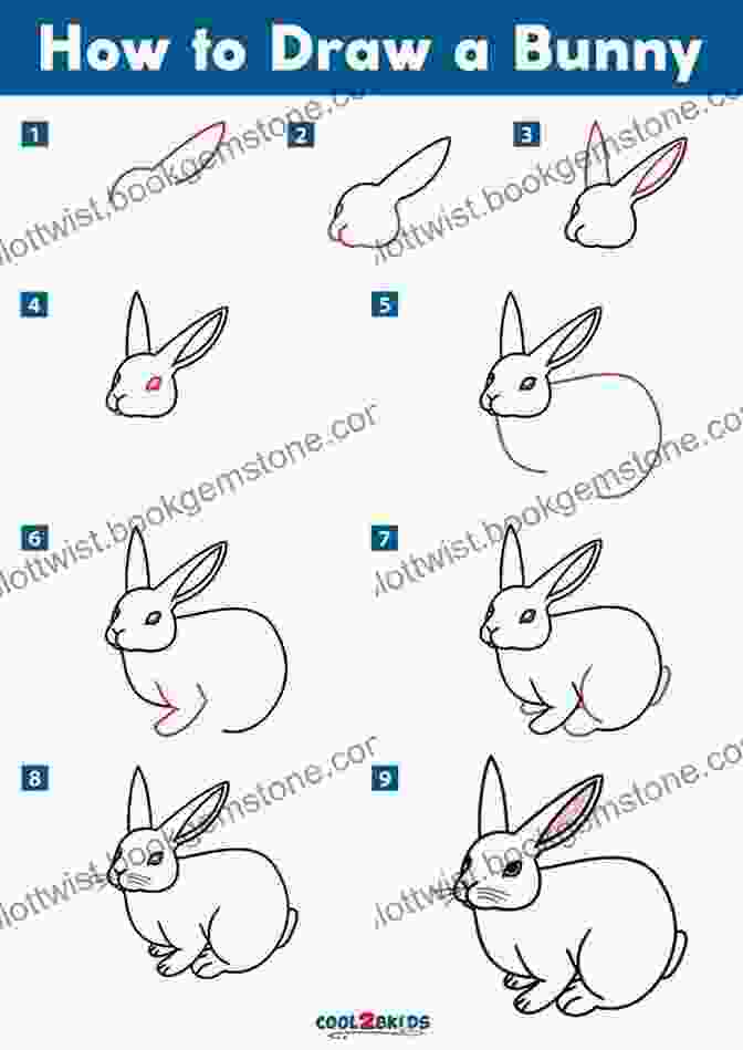 Step By Step Drawing Of A Woodland Rabbit How To Draw: Woodland Animals: In Simple Steps
