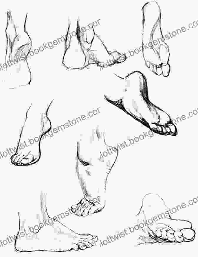 Step By Step Guide To Drawing A Foot How To Draw: Hands Feet: In Simple Steps