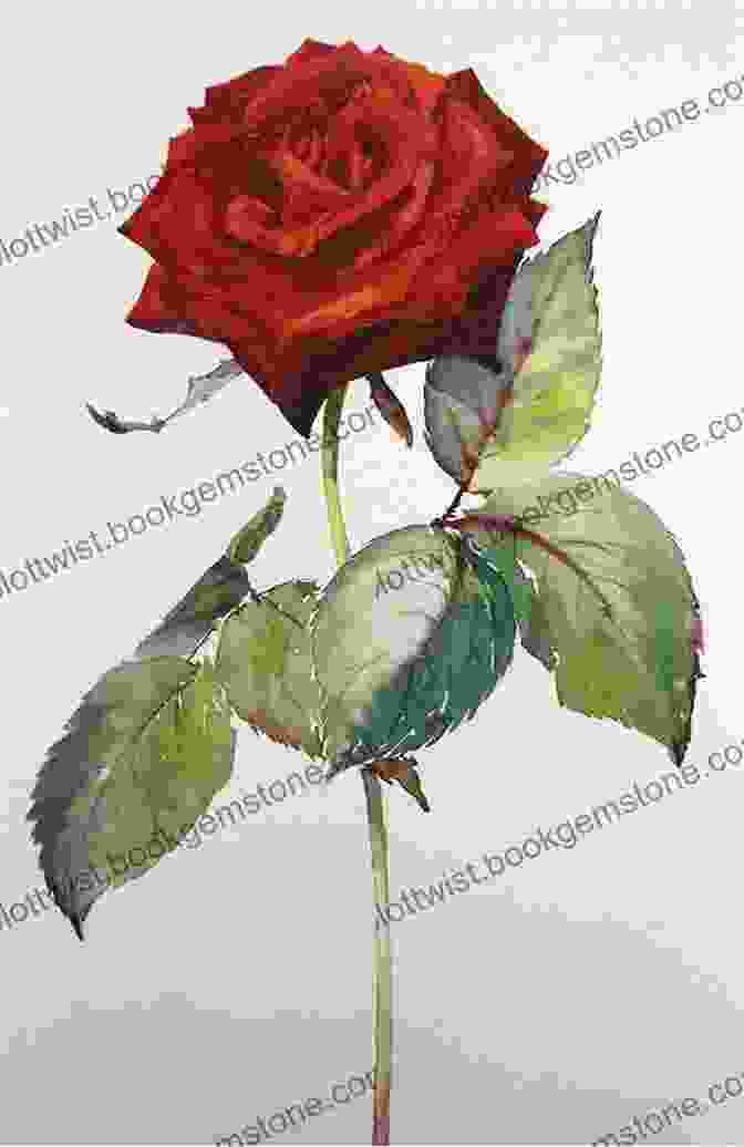 Watercolor Painting Of A Red Rose Learn To Paint: Roses Cherie Burns