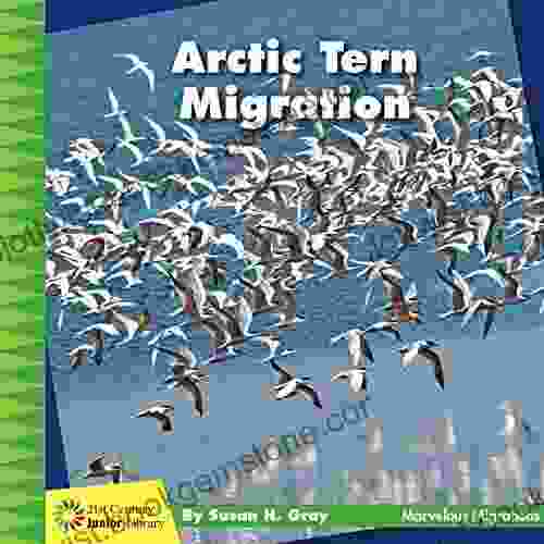 Arctic Tern Migration (21st Century Junior Library: Marvelous Migrations)