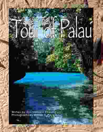 A Personal Tour Of Palau